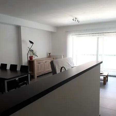Residentie Koen オステンド